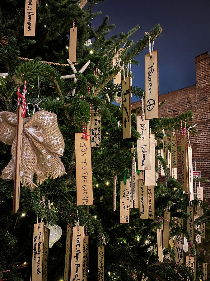 Christmas Tree on Amelia Island 2019 Christmas Tree, Florida by Dawna Roaming Near and Far Christmas Tree on Amelia Island 2019 Christmas Tree, Florida by Dawna Roaming Near and Far