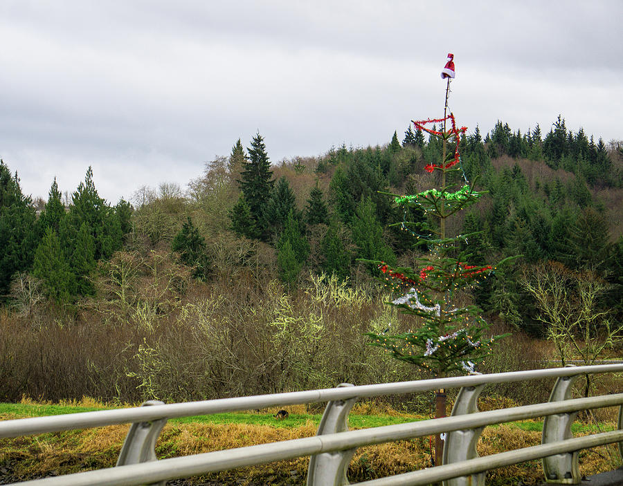 Christmas Tree on Bridge Photograph by Peggy McCormick