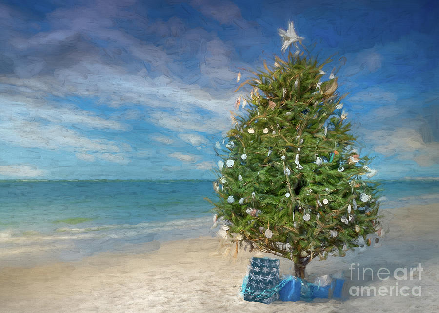 Beach Photograph - Christmas Tree on Siesta Key Beach, Florida, Painterly by Liesl Walsh