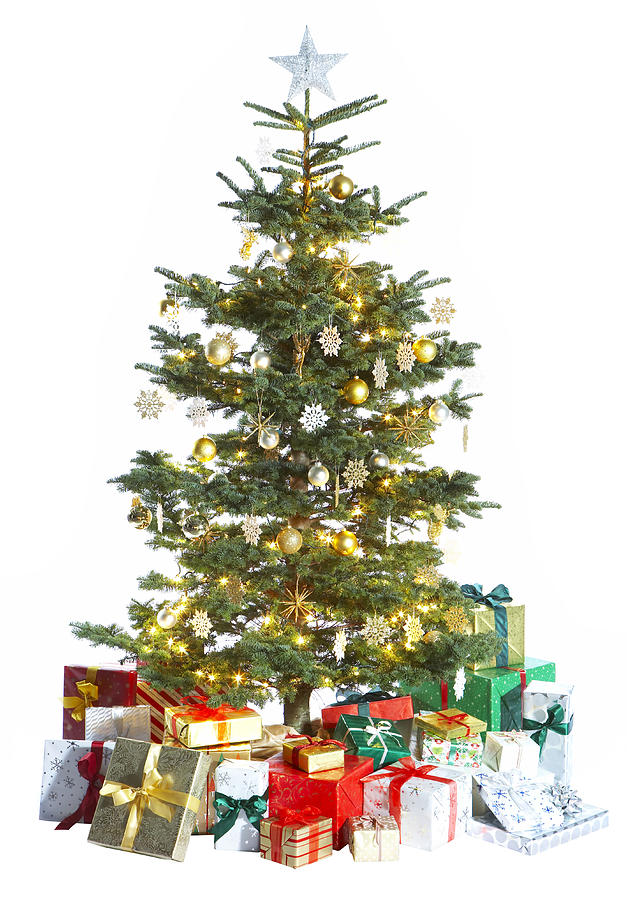 Christmas tree on white background Photograph by Thomas Northcut