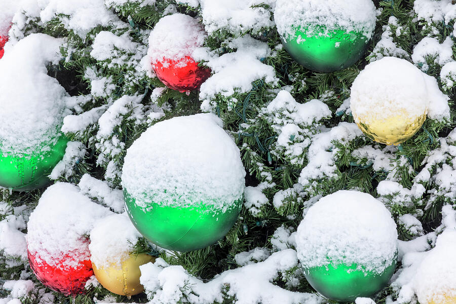 Christmas Tree Ornaments with Snow 2 Photograph by Kelley King Christmas Tree Ornaments with Snow 2 Photograph by Kelley King