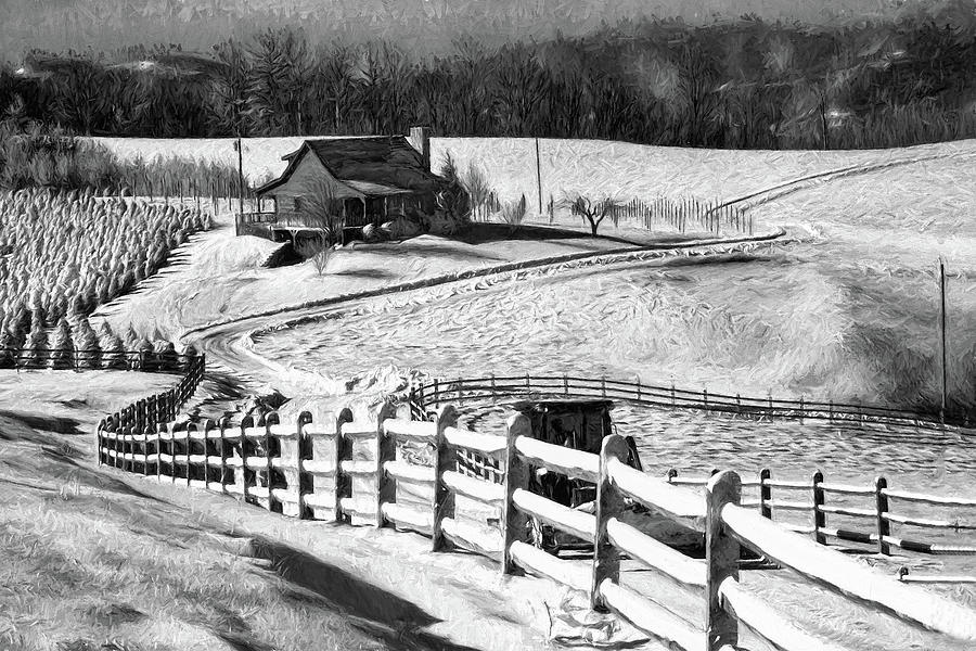Christmas Tree Ranch in Snow bw Photograph by Dan Carmichael