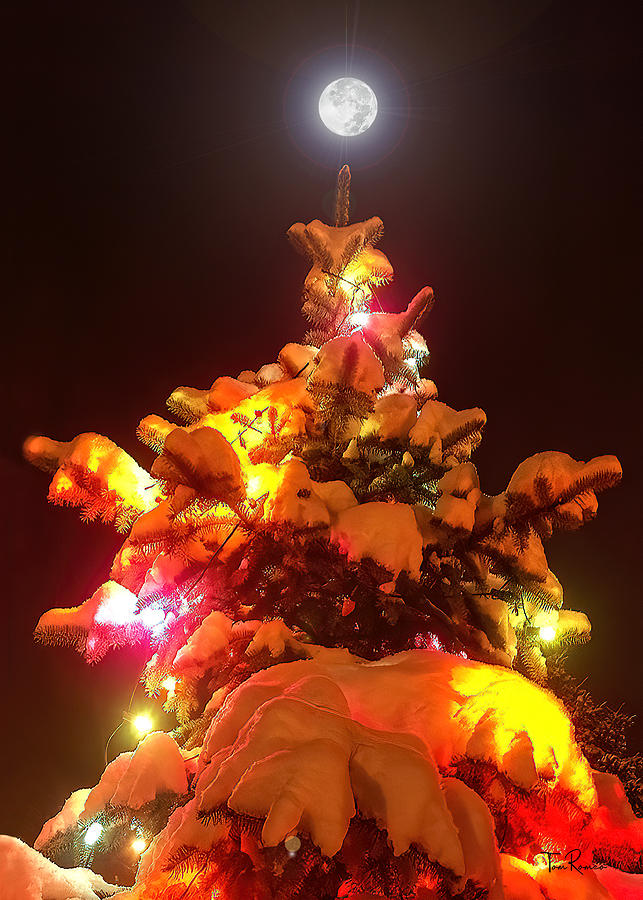 Christmas Tree Seneca Falls Digital Art by Tom Romeo