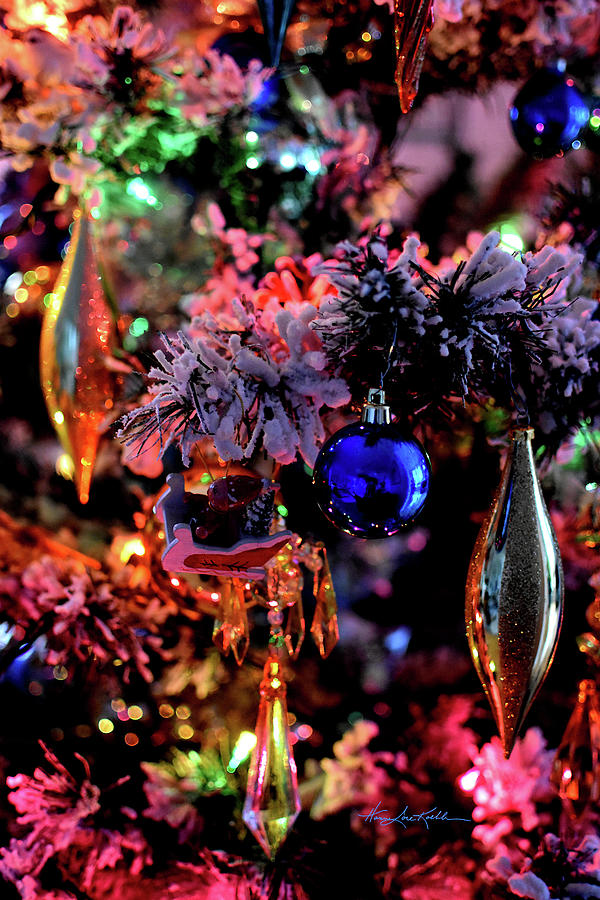 Christmas Tree Photograph - Christmas Tree Sparkle by Hanne Lore Koehler