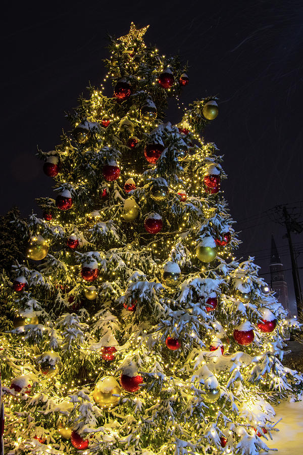 Christmas Tree Photograph by Steve Stuller