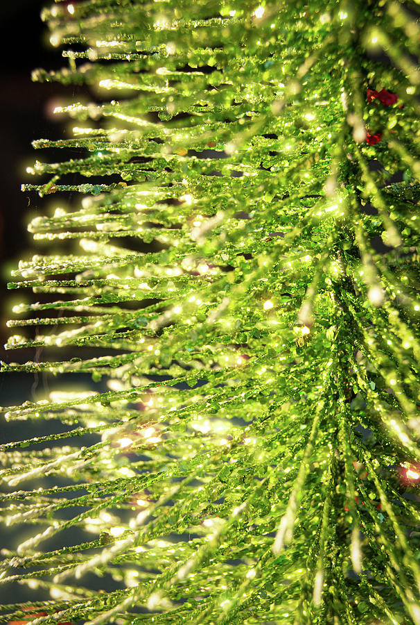 Christmas Tree Twinkle Photograph by Kristia Adams