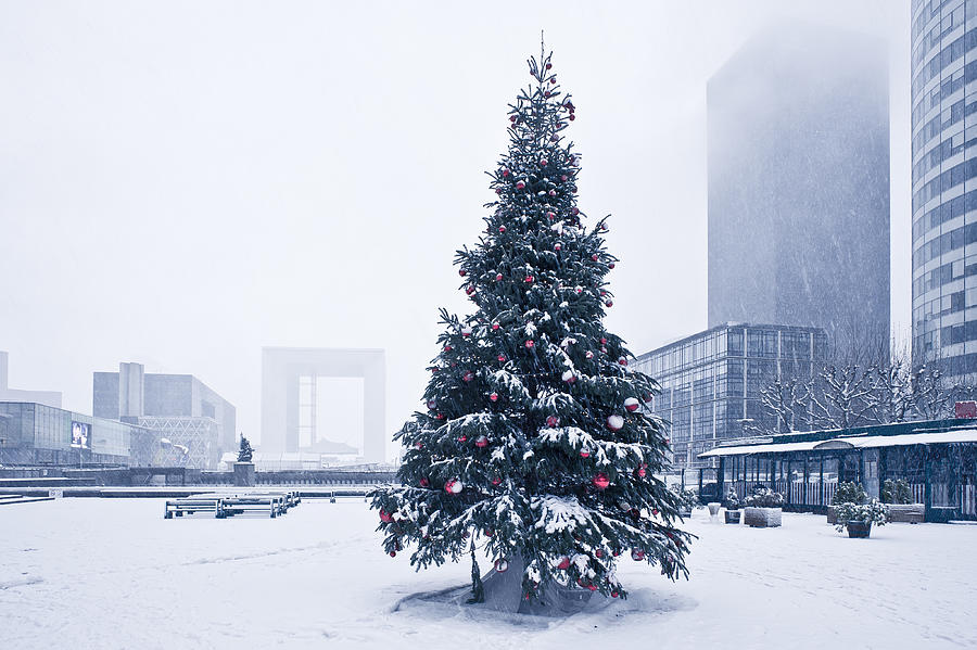 Christmas tree under the snow in La Defense Photograph by © Philippe LEJEANVRE