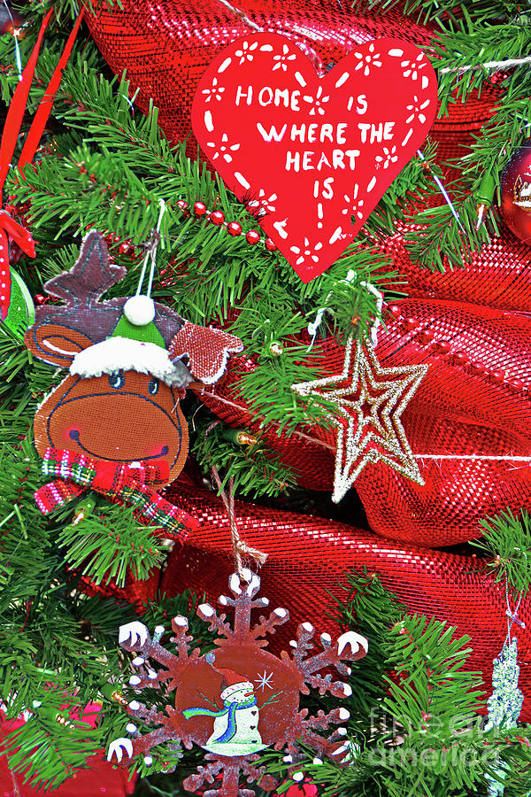 Christmas Tree With A Heart Photograph