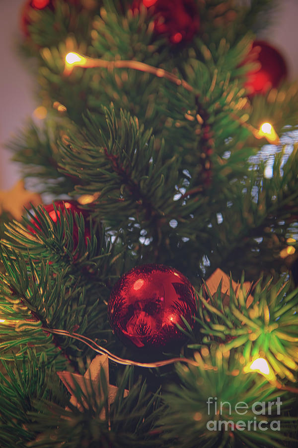 Christmas tree with an ornament Photograph by Mendelex Photography