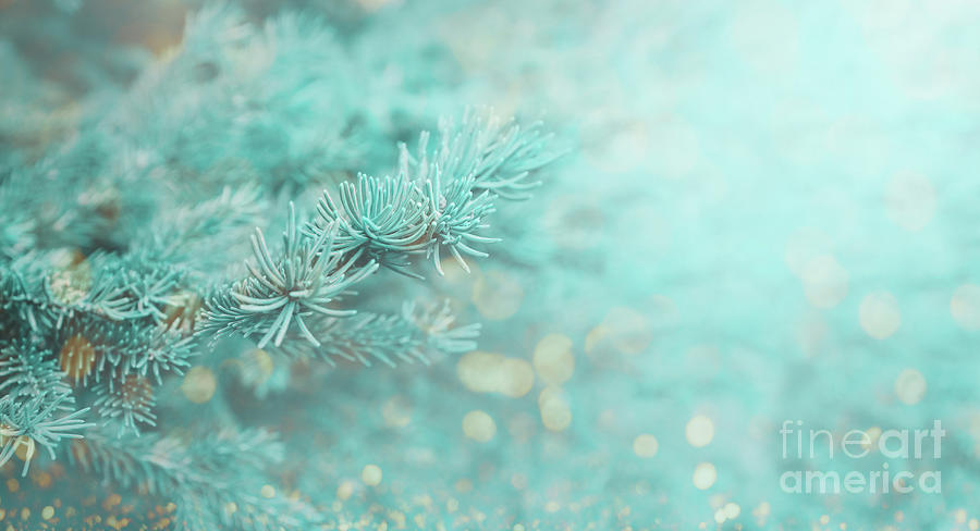 Christmas Photograph - Christmas tree with bokeh light greeting card design layout. Win by Jelena Jovanovic