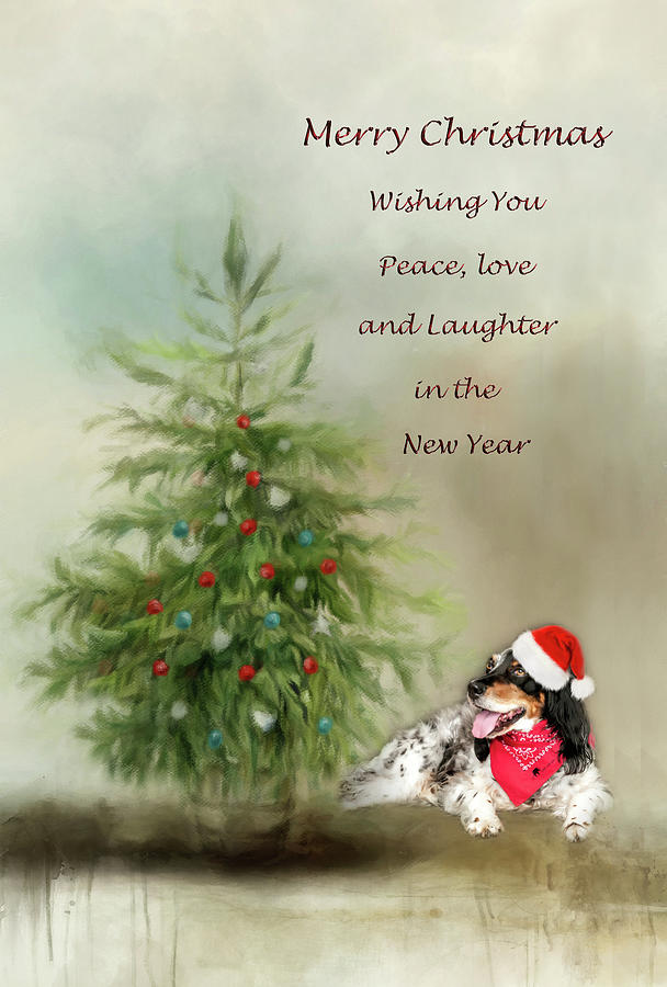 Christmas Photograph - Christmas Tree with Dog Greeting Card by Phyllis Taylor