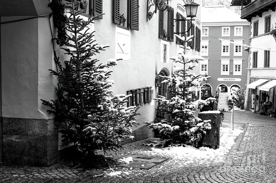 Christmas Trees in Berchtesgaden Germany Photograph by John Rizzuto
