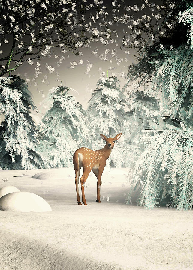 Christmas when the forest is magical Digital Art by Jan Keteleer