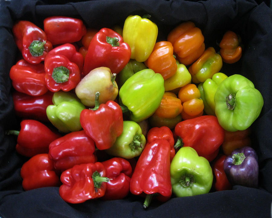 Christmas with the Peppers Photograph by David Zimmerman | Fine Art America