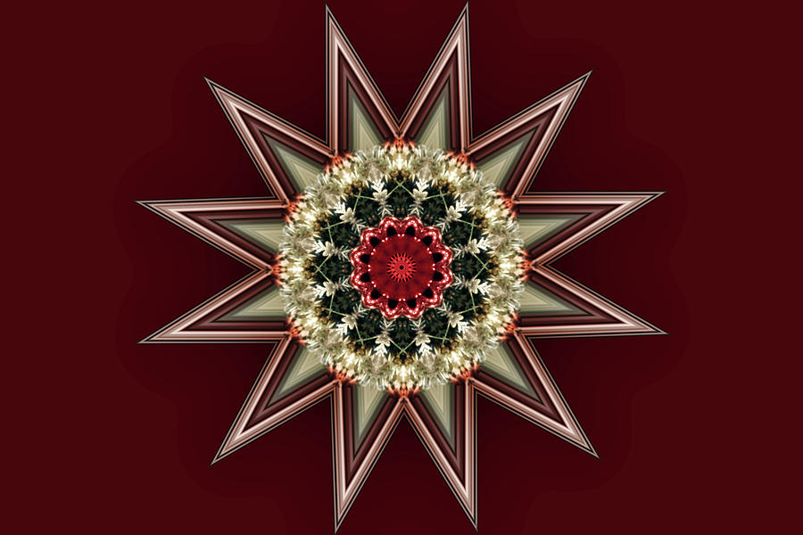Christmas Wreath Kaleidoscope Digital Art by Kathy K McClellan