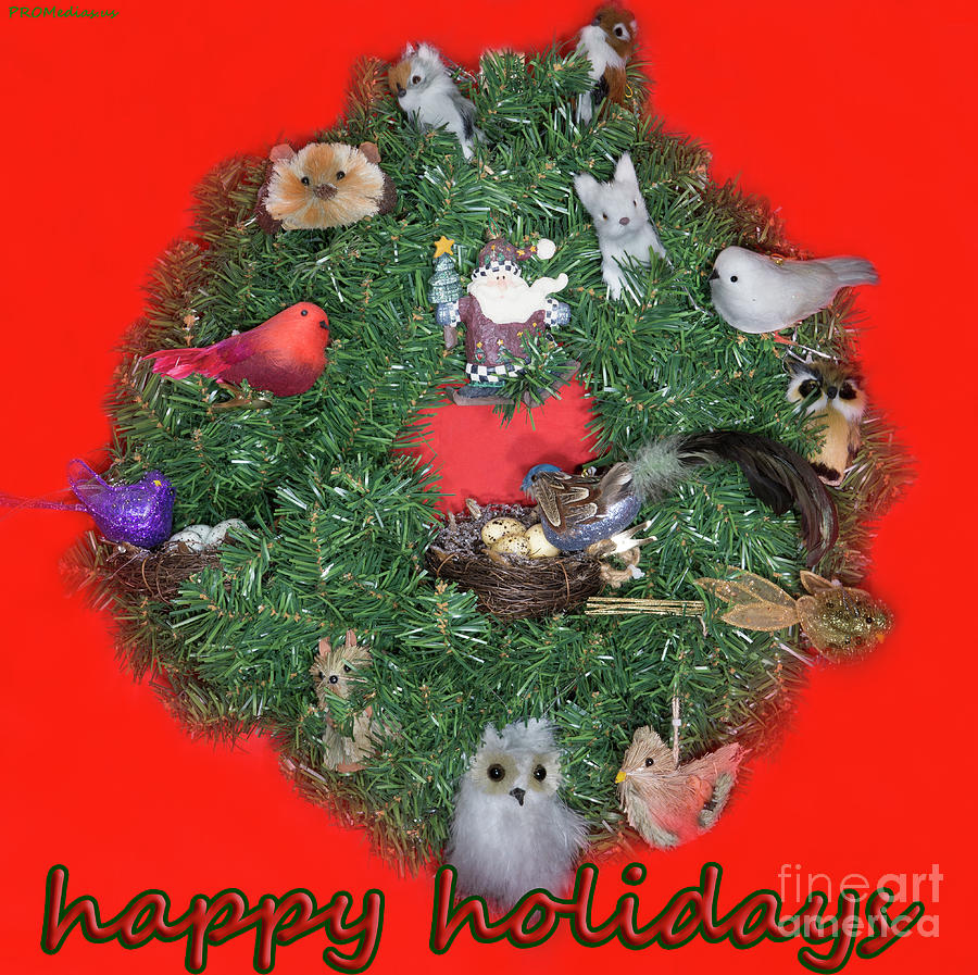 Christmas wreath Photograph by PROMedias US