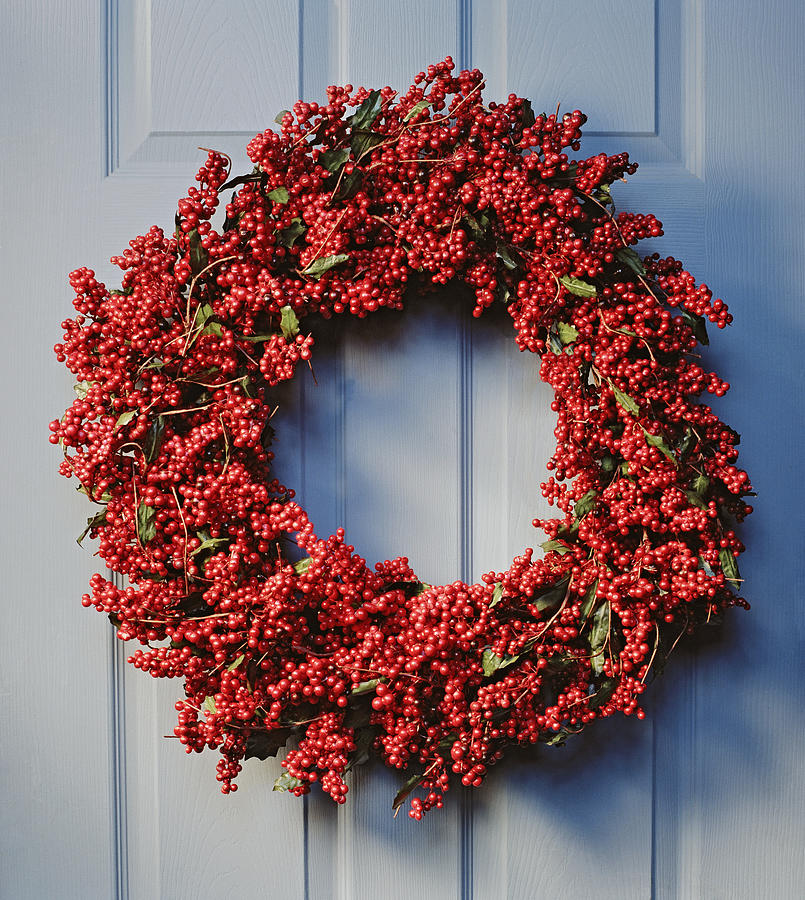 Christmas wreath with red holly berries hanging on blue front door Photograph by GK Hart/Vikki Hart