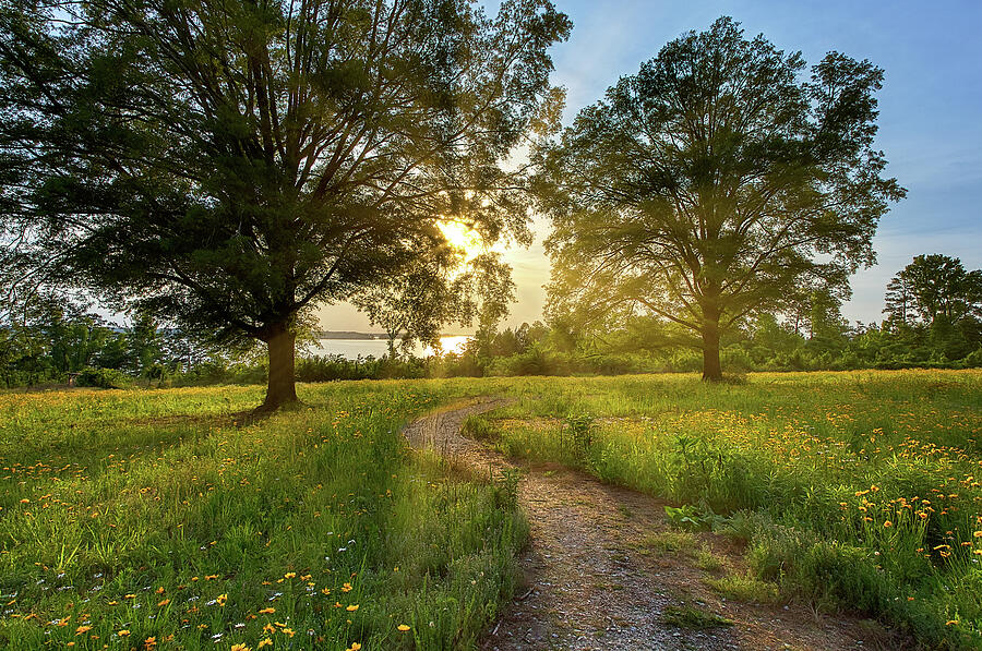 Christopher Spiller Pollinator Garden at Clarks Hill - 7 Photograph by ...