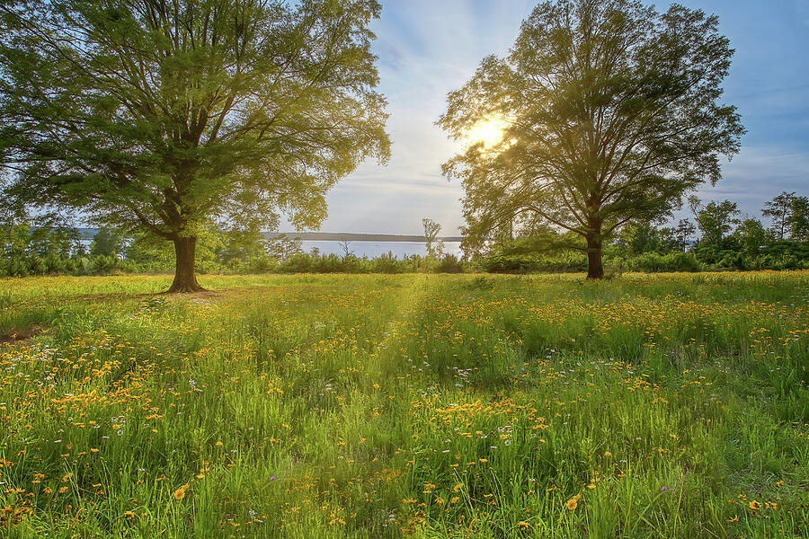 Christopher Spiller Pollinator Garden at Clarks Hill - 8 Photograph by ...