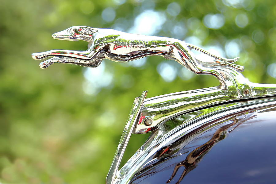 Chrome Greyhound Photograph by Lens Art Photography By Larry Trager