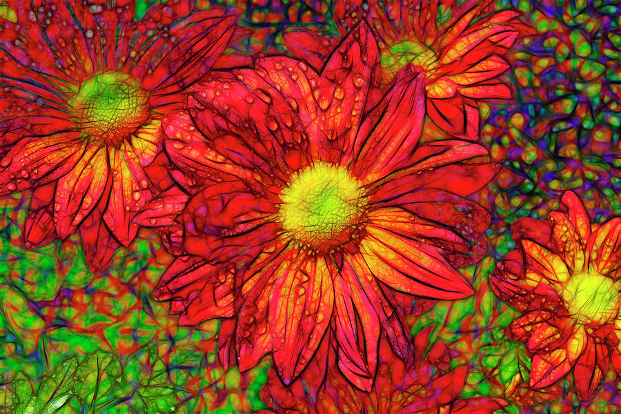 Chrysanthemum Abstract Photograph by Robert Ullmann
