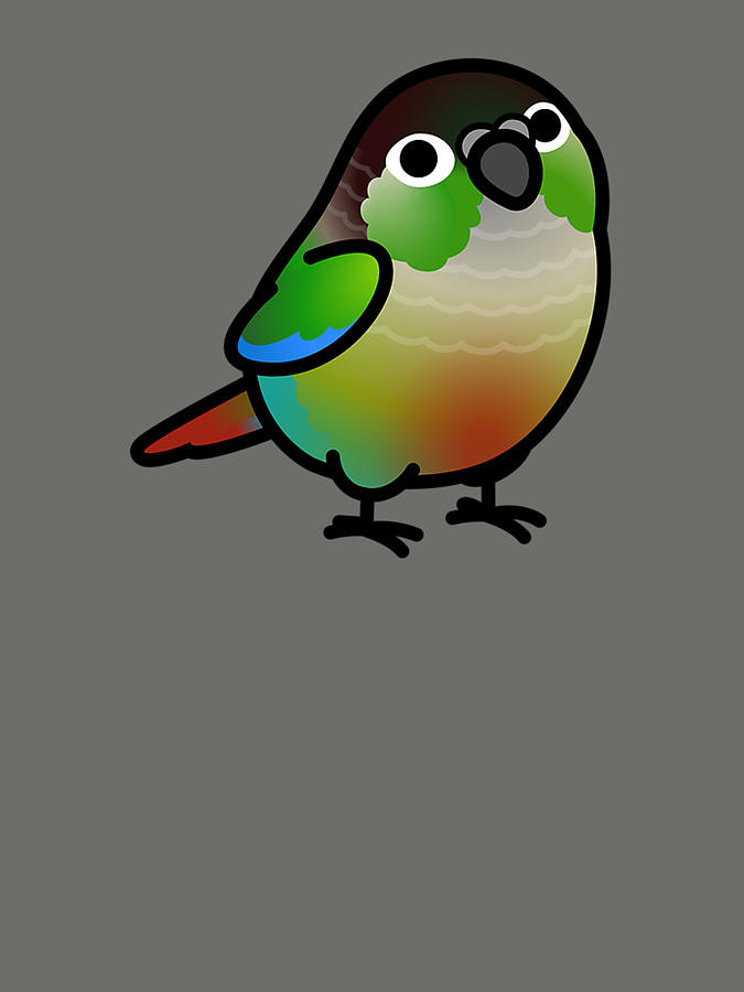 Chubby Green Cheek Conure Digital Art by Evelyn Freundel - Fine Art America