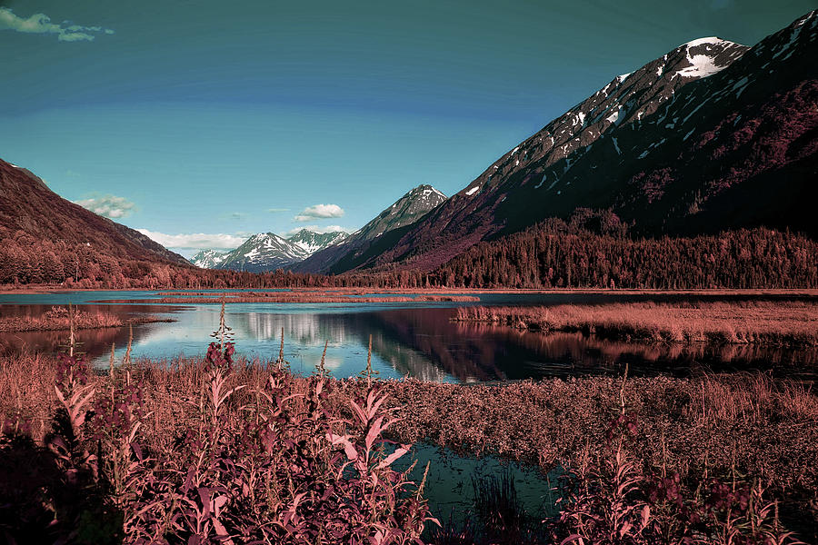 Chugach National Forest Alaska - Surreal Art By Ahmet Asar Digital Art