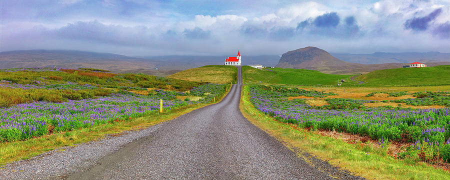 Church And Lupine In West Iceland 2 Photograph