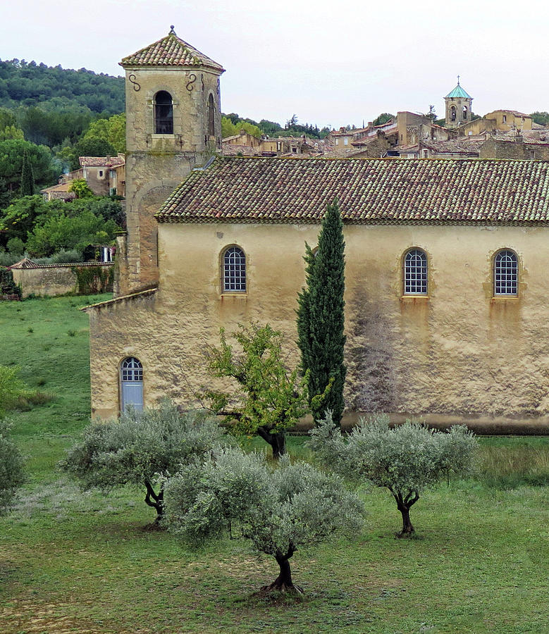 Church and Olive Trees Photograph by Dave Mills