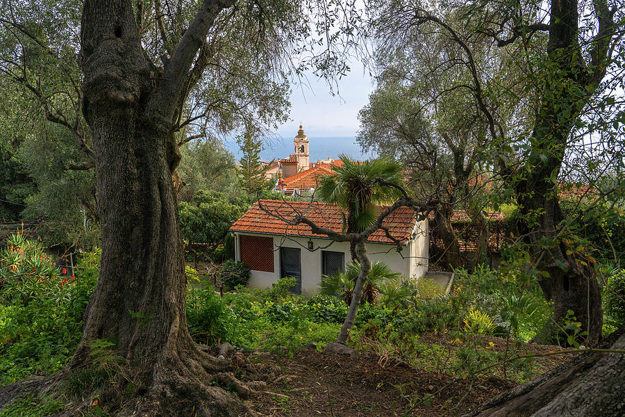 Church Bell Tower - View from Gardens of Villa Pompeo Mariani - Bordighera 1 Photograph by Jenny Rainbow