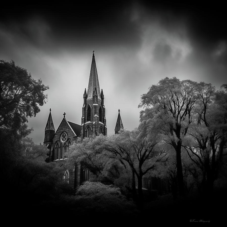 Tree Photograph - Church Steeples In The Autumn Black and White  by Debra Forand