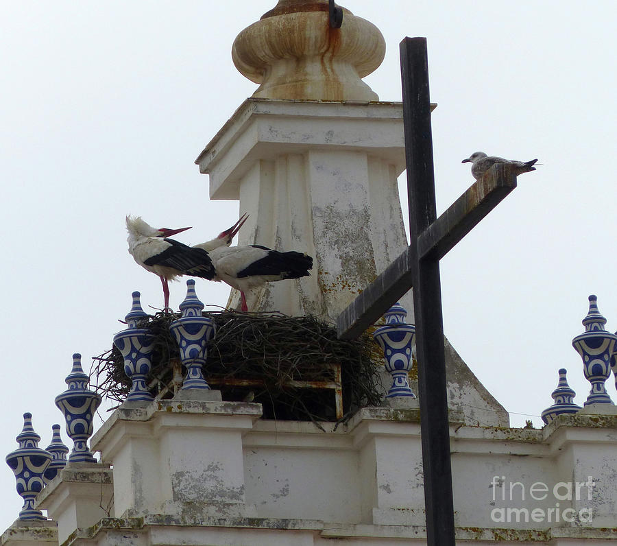 Church Tower Storks Nest Photograph by Phil Banks