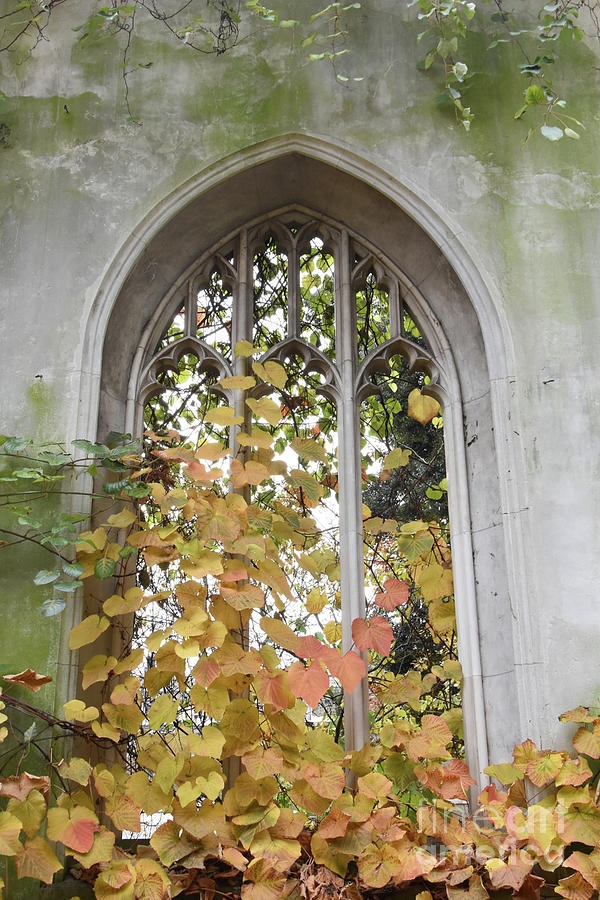 Church window #1 Photograph by Joanne McCurry
