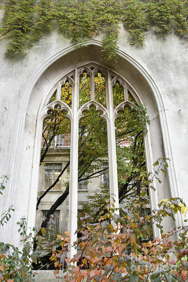 Church window #3 Photograph by Joanne McCurry