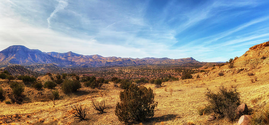 Cibola National Forest View - Magdalena, New Mexico Photograph by Susan Rissi Tregoning