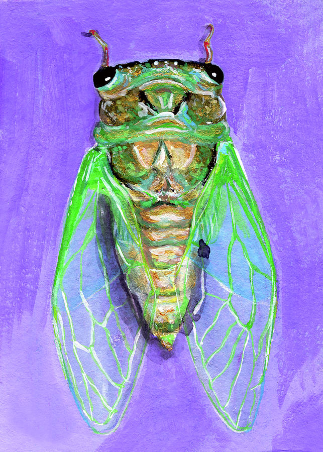 Cicada Painting by Amanda Meszaros - Fine Art America