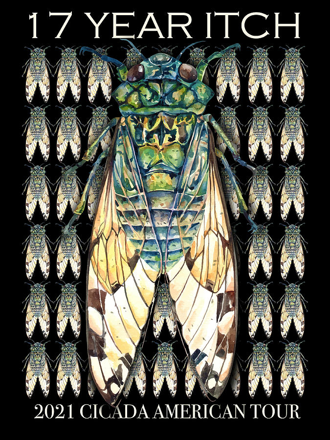 Cicada Eastern Brood X Reemergence / Insect 17 Years Bugs 3 Painting by Tony Rubino