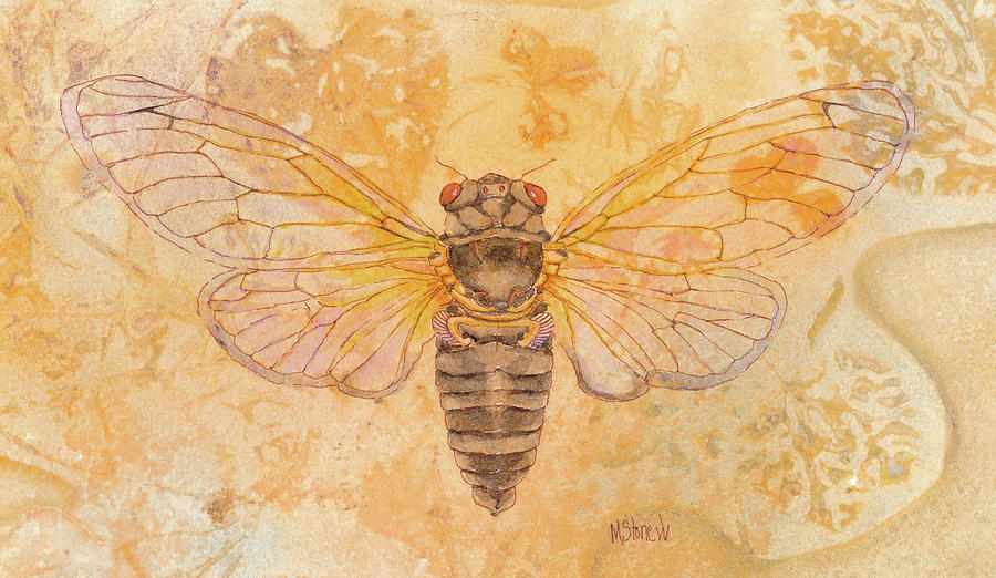 Cicada Painting by Marie Stone-van Vuuren