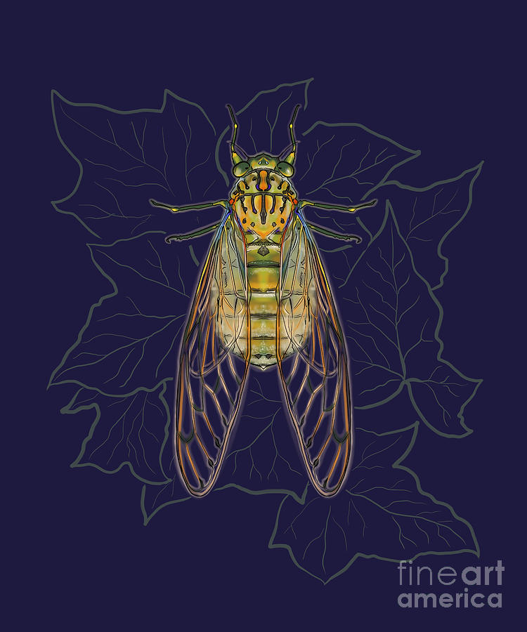 Cicada On Ivy Digital Art by Jindra Noewi