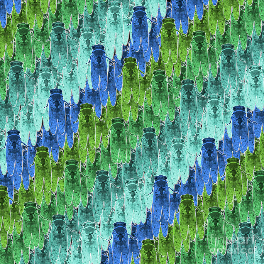 Pattern Digital Art - Cicada Pattern in Aqua Blue by Colleen Cornelius Pattern Digital Art - Cicada Pattern in Aqua Blue by Colleen Cornelius