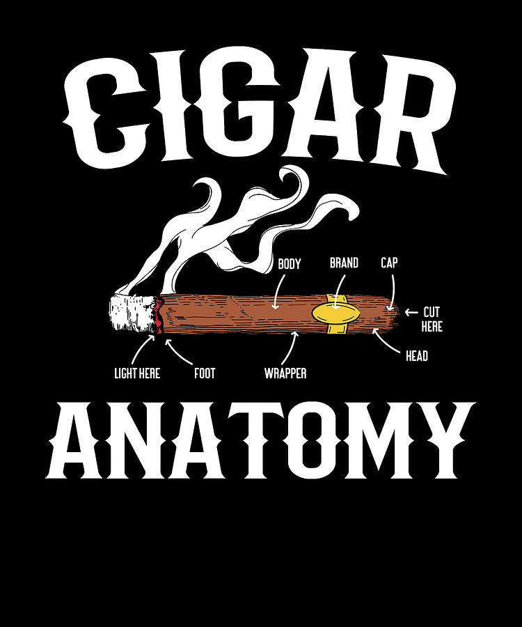 Cigar Anatomy Cigars Smoker Smoking Digital Art By Colorfulsnow