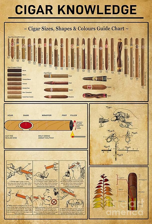 Cigar Knowledge Cigar Lover Painting by Gary Hall | Pixels