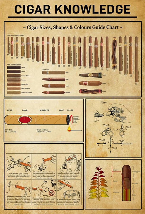 Cigar Knowledge Cigar Lover Poster tumblr Painting by Kirsten Phillips ...