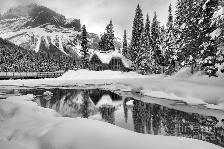 Cilantro Winter Landscape Black And White Photograph by Adam Jewell