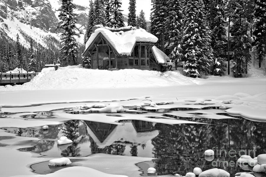 Cilantro Winter Scene Black And White Photograph by Adam Jewell