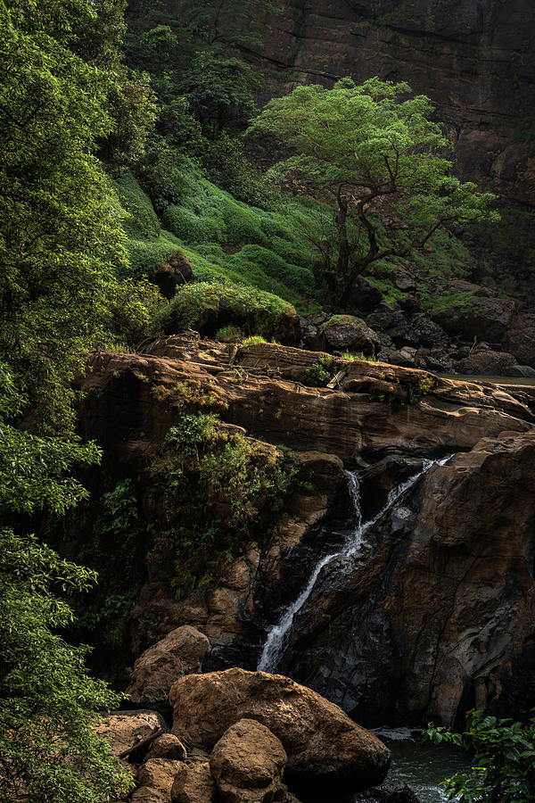 Cimarinjung waterfall Photograph by Anges Van der Logt