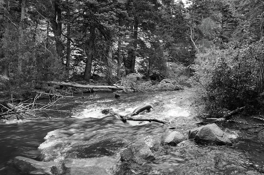 Cimarron River 1, Northern  New Mexico Photograph by Richard Porter