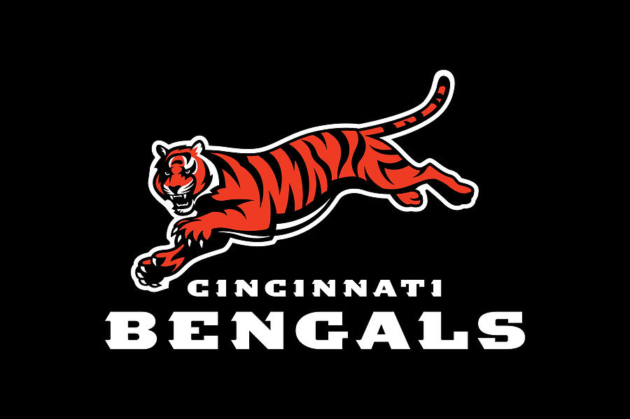 Cincinnati Bengals Digital Art by Tina G Anderson - Fine Art America