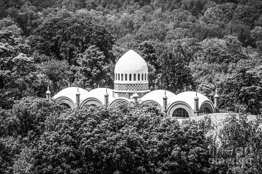 Cincinnati Zoo Elephant House Black and White Picture Photograph by Paul Velgos
