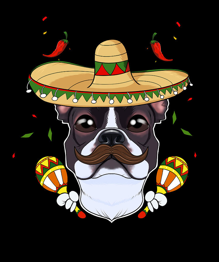 Cinco De Mayo Boston Terrier Sombrero Dog Digital Art by Maximus ...